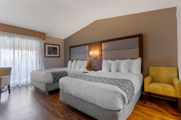 Best Western Plus Forest Park Inn image 28